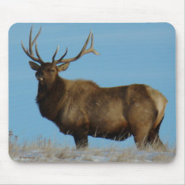 Mousepad E62 Bull Elk Sky Lined