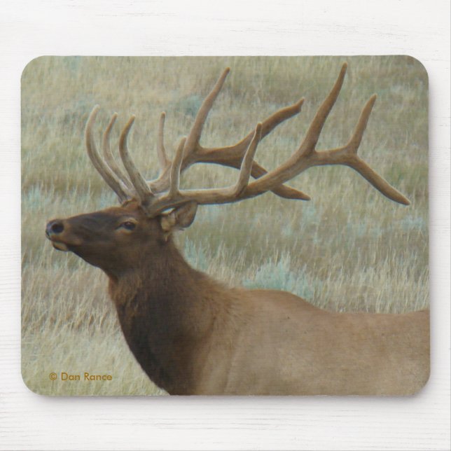 Mousepad E9 Alce Macho em Veludo Cabeça e Ombros (Frente)