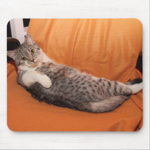 Mousepad E aí? Jantar Pronto?