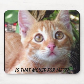 Mousepad É esse rato para mim?