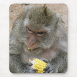 Mousepad É o meu!... Macaco Wild Thai Macaque