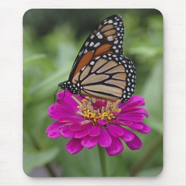 Mousepad E.U.A., Massachusetts, Boylston, Tower Hill (Frente)