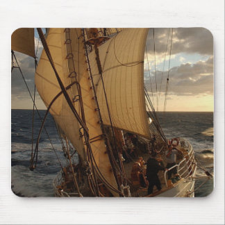 Mousepad Eagle do mar