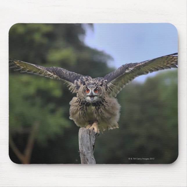 Mousepad Eagle Owl (Bubo bubo) (Frente)