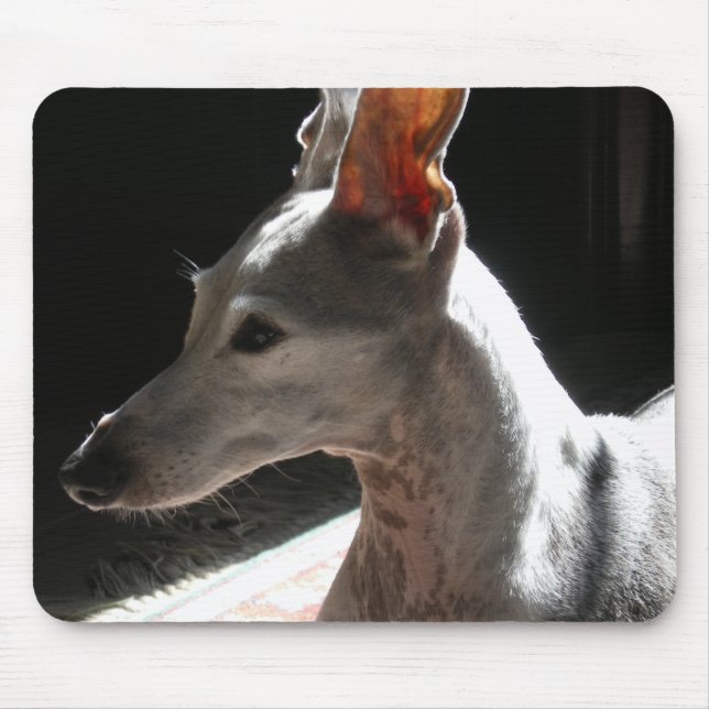 Mousepad Ears Up! Foto! (Frente)