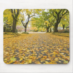 Mousepad Eastmoreland na opinião da estrada e de árvore d