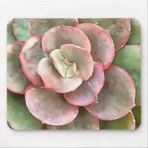 Mousepad Echeveria Cactus - Pintura acrílica suculenta