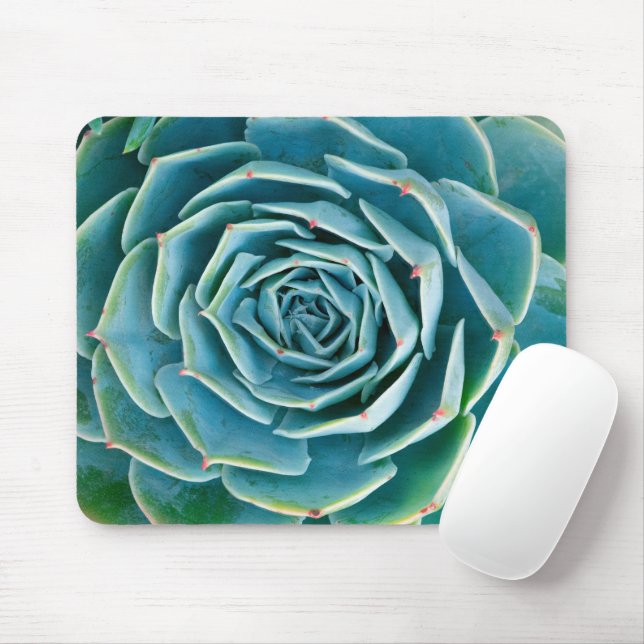 Mousepad Echeveria Rosette, Secret Garden of Marrakech (Com mouse)