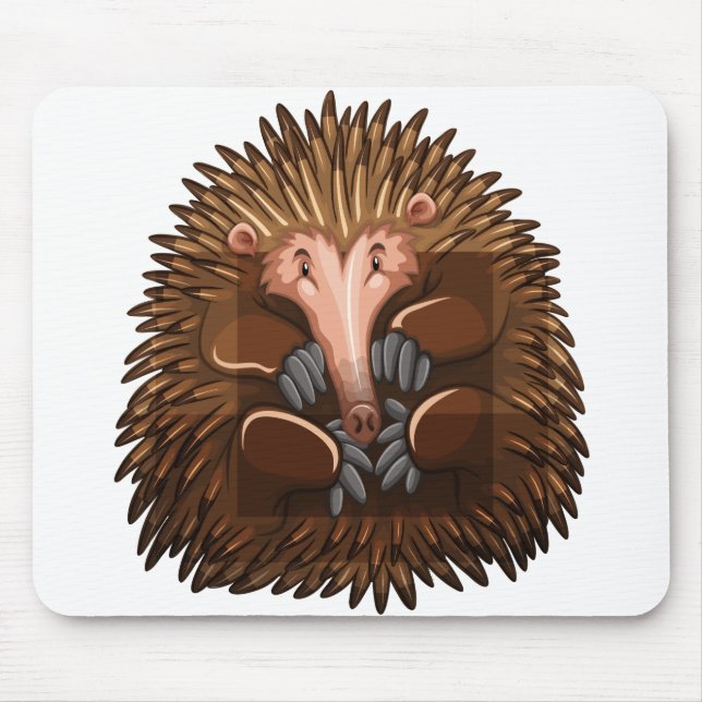 Mousepad echidna (Frente)