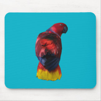 Mousepad Eclectus