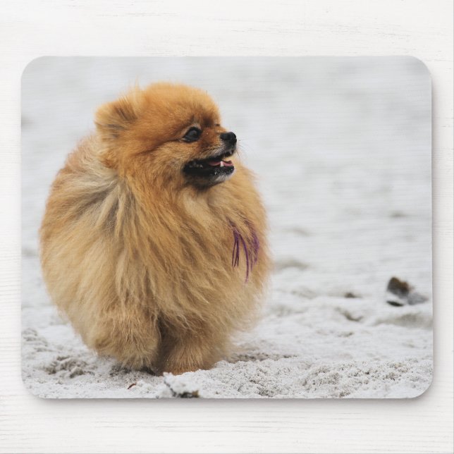 Mousepad Edgrrrr #3 - Pomeranian (Frente)