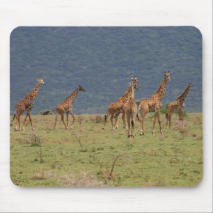 Mousepad Efetivo de Girafas