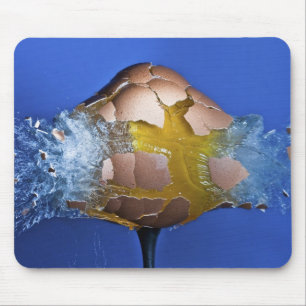 Mousepad Eggceptional
