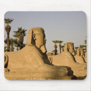 Mousepad Egito, Luxor. A Avenida das Esfinges leva a