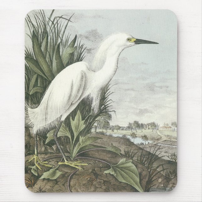 Mousepad Egret nevado (Frente)