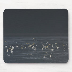 Mousepad Egrets No Oceano Azul Da Meia-Noite