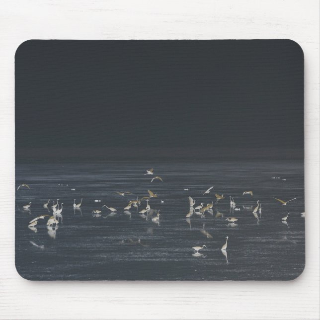 Mousepad Egrets No Oceano Azul Da Meia-Noite (Frente)