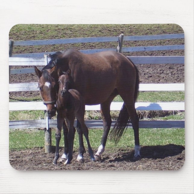 Mousepad Égua e potro (Frente)