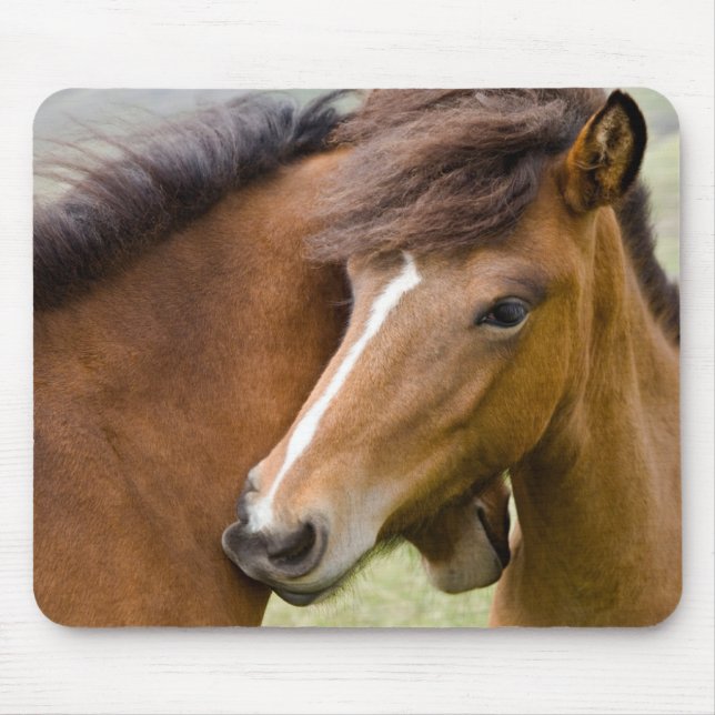Mousepad Égua e Potro (Frente)