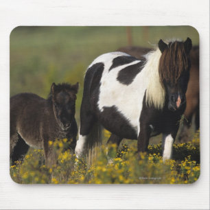 Mousepad Égua & potro diminutos nas flores