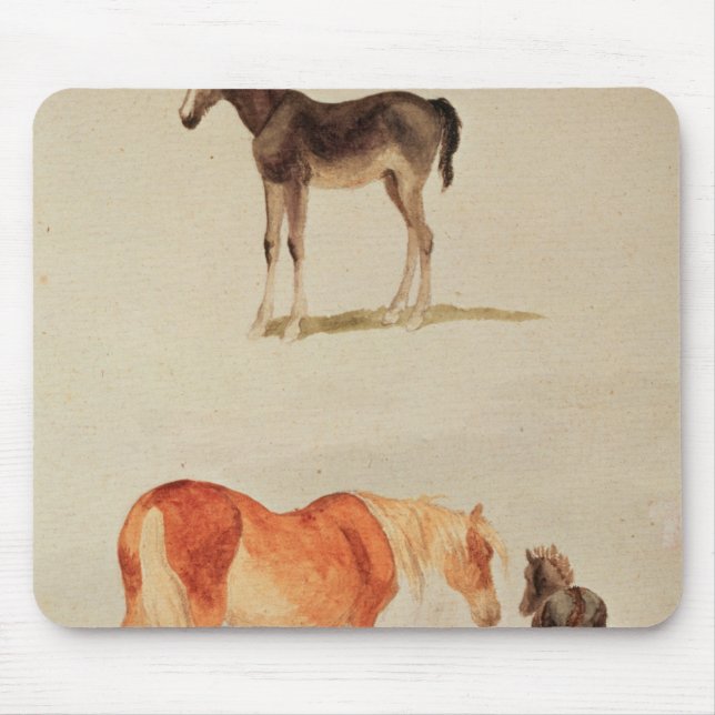 Mousepad Éguas e potros (Frente)