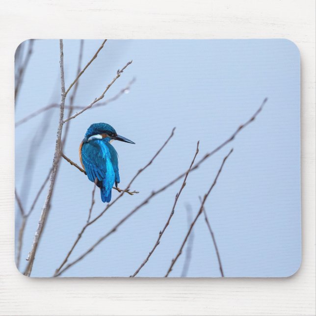 Mousepad Eisvogel im Ansitz (Frente)