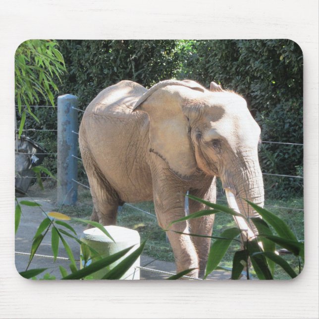 Mousepad Elefante (Frente)