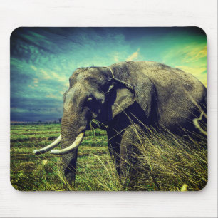 Mousepad Elefante