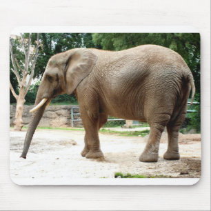 Mousepad Elefante africano