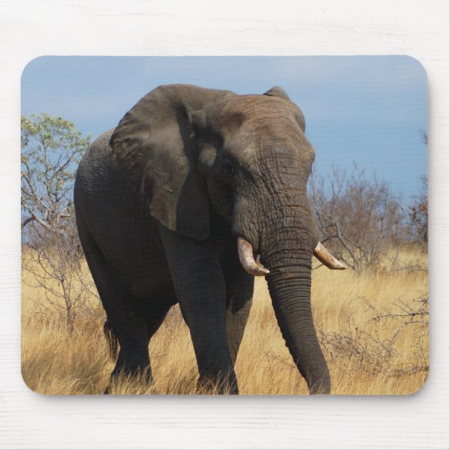 Mousepad Elefante Africano (Frente)