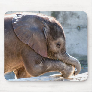 Mousepad Elefante bebê