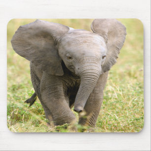 Mousepad Elefante bebé