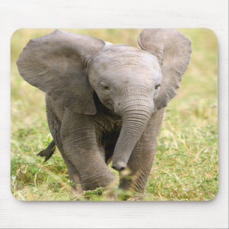 Mousepad Elefante bebé