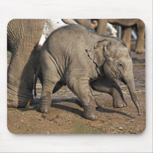 Mousepad Elefante bebê