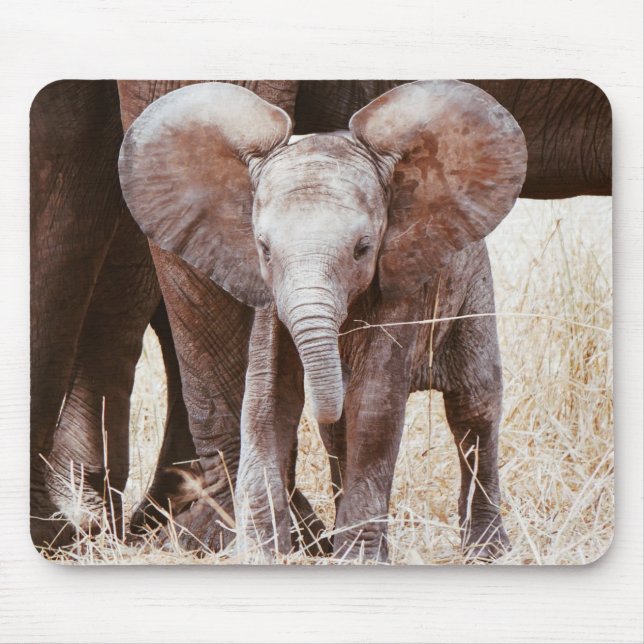 Mousepad Elefante-bebê afro-branco com mamãe (Frente)
