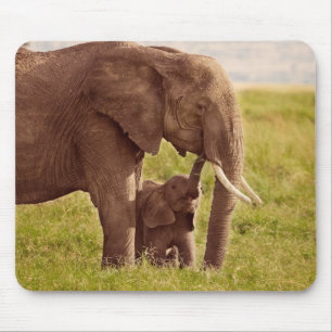 Mousepad Elefante & bebê das imagens   de Getty