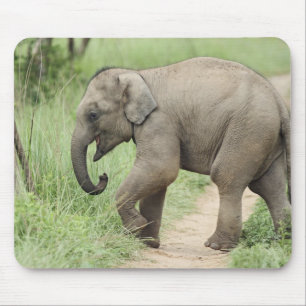 Mousepad Elefante bebê seguindo a mãe, Corbett