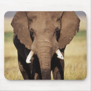Mousepad Elefante-da-savana-africano