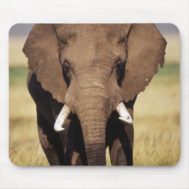 Mousepad Elefante-da-savana-africano (Frente)