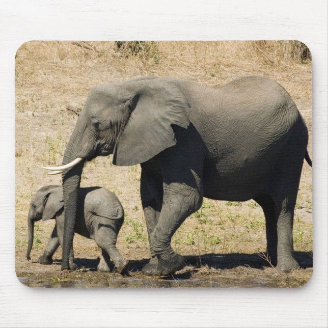 Mousepad Elefante e mãe do bebê (Frente)