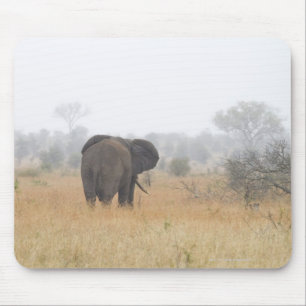 Mousepad Elefante na névoa do amanhecer, nacional de Kruge