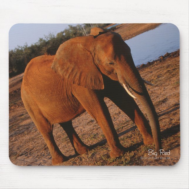 Mousepad Elefante Vermelho Grande (Frente)