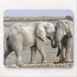 Mousepad Elefantes