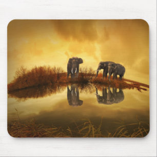 Mousepad Elefantes Asiáticos na Tailândia sob um pôr do sol