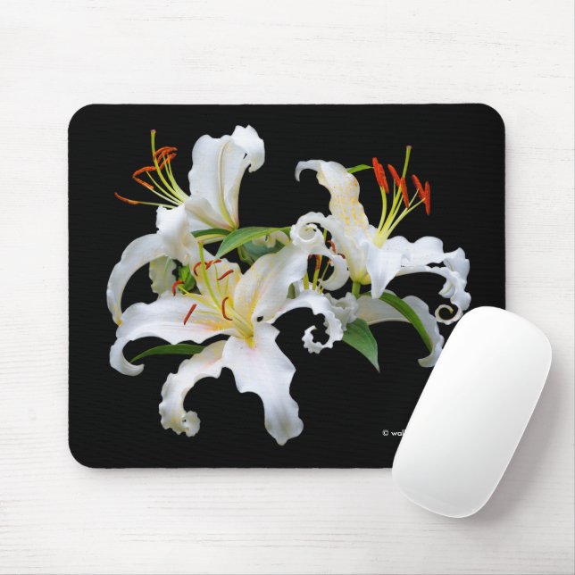 Mousepad Elegante Casablanca White Flores Orientais Orienta (Com mouse)