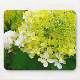 Mousepad Elegante Hortênsia Limelight Verde Chartreuse