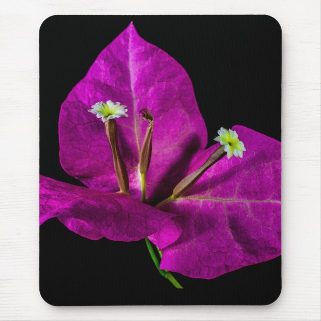 Mousepad Elegante Purple Bougainvillea (Frente)
