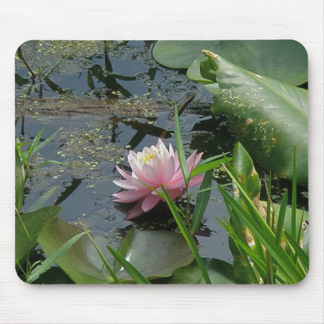 Mousepad Elementos de coordenação da lírio-d'água rosa (Frente)
