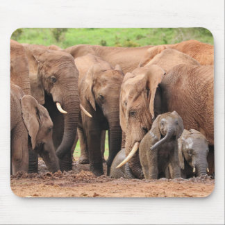 Mousepad elephants cute