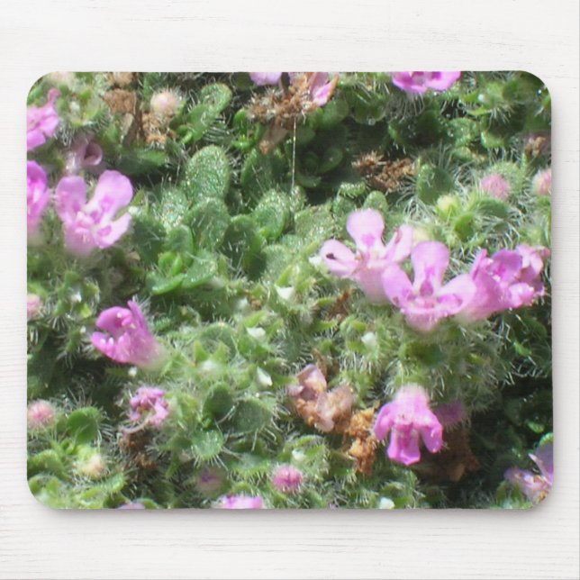 Mousepad - Elfin thyme (Frente)